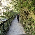 砂卡礑步道