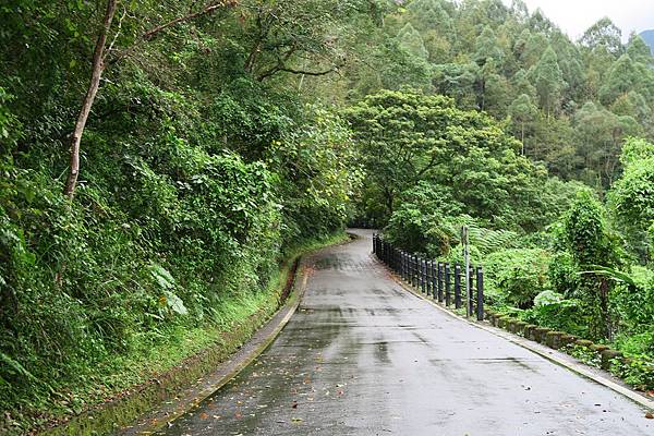 鯉魚潭環潭自行車道