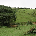 頂山石梯嶺步道