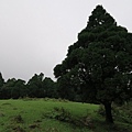 頂山石梯嶺步道