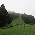 頂山石梯嶺步道