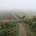 頂山石梯嶺步道