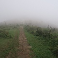 頂山石梯嶺步道