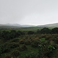 頂山石梯嶺步道