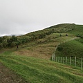 頂山石梯嶺步道