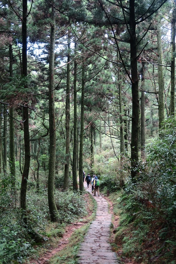 頂山石梯嶺步道