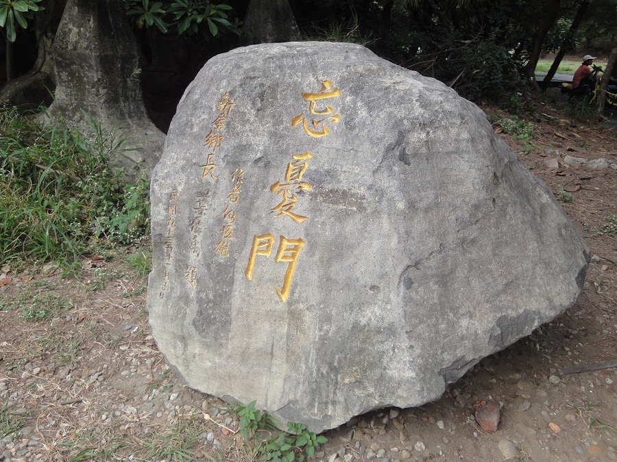 漂流木公園