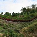 蘇維拉莊園