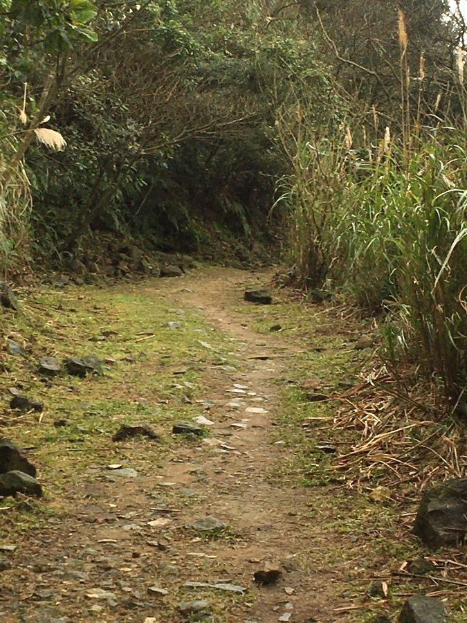 金瓜石地質公園