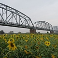 下淡水溪舊鐵橋