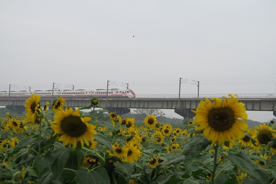 下淡水溪舊鐵橋