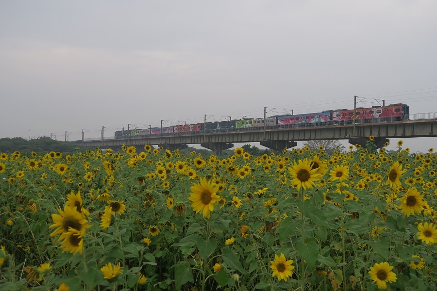 下淡水溪舊鐵橋