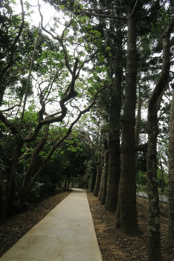 森林浴步道