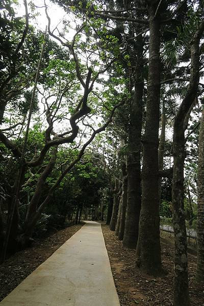 森林浴步道