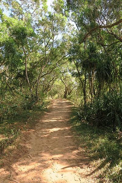 社頂自然公園