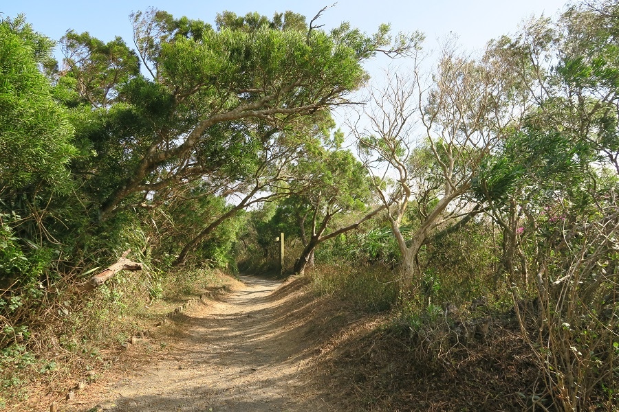 社頂自然公園