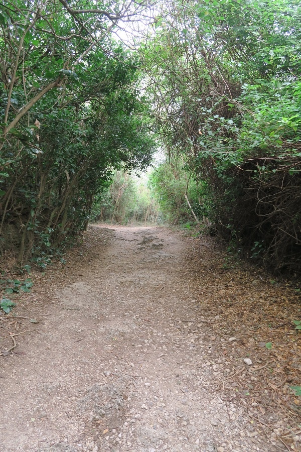 龜山步道