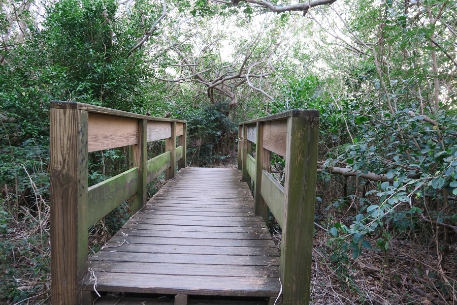 龜山步道