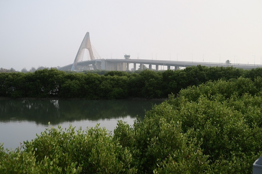 鵬灣跨海大橋