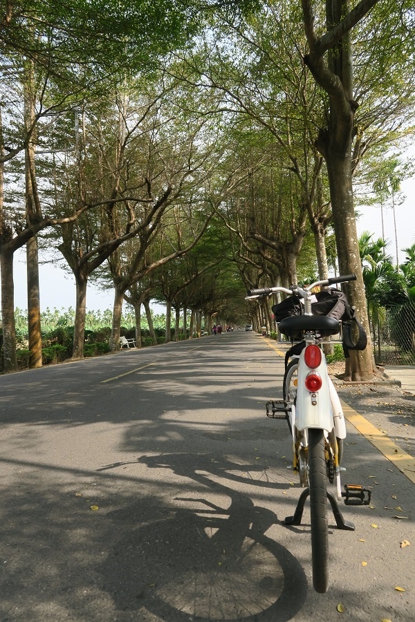 潮州綠色隧道