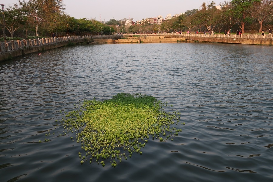 牛欄河親水公園