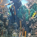 探險島水族館