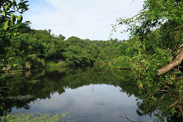 鄉長里大埤