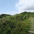 龍洞灣岬步道