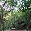 鐘萼木生態公園