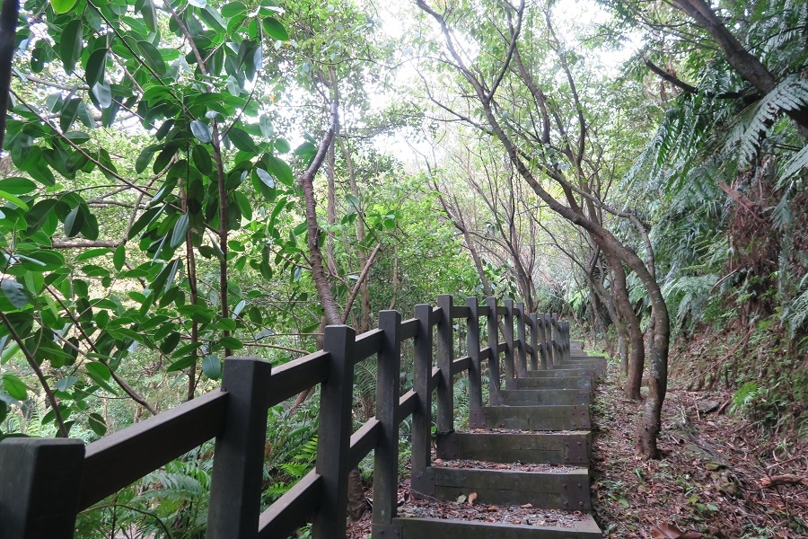 新山水庫後山步道