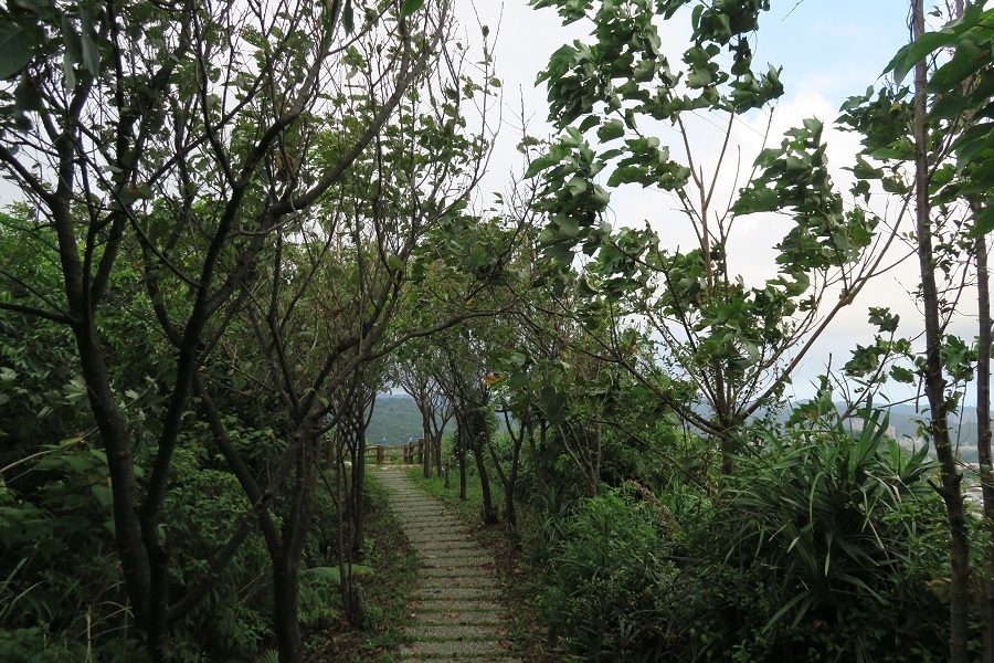 新山水庫後山步道