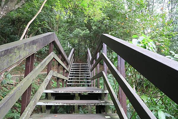 虎山生態步道