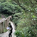 三層橋