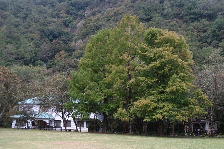 綠野山莊