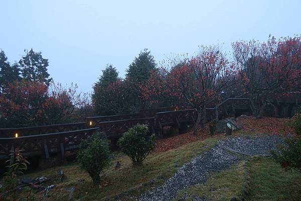 阿里山森林遊樂區