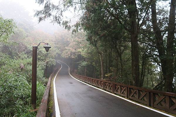 阿里山森林遊樂區