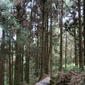 祝山觀日步道