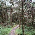 祝山觀日步道