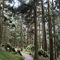 祝山觀日步道