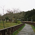 沼平車站
