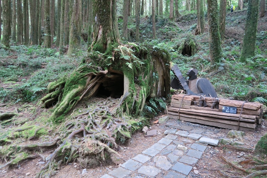 阿里山森林遊樂區