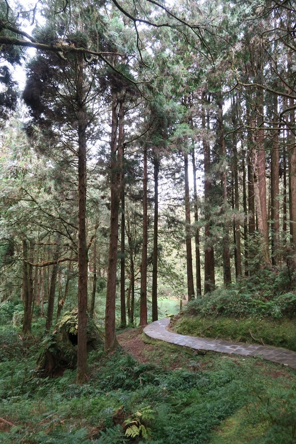 阿里山森林遊樂區