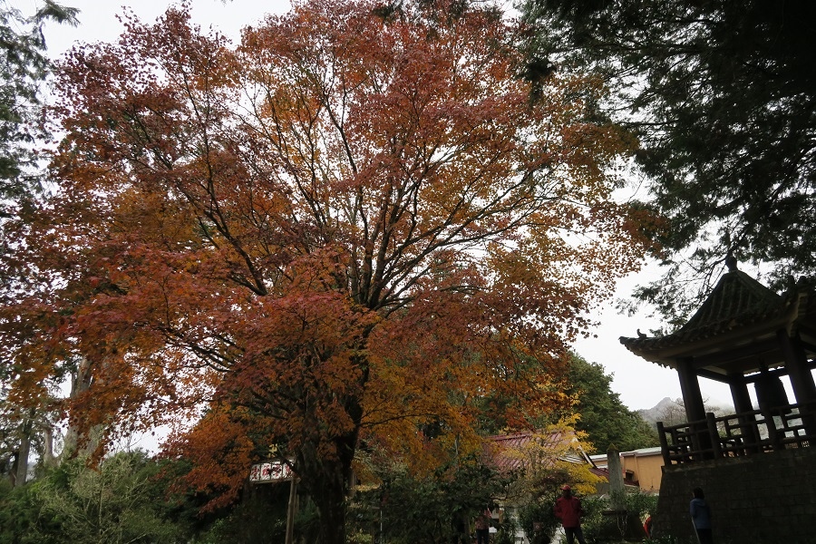 慈雲禪寺