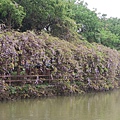 林口大湖紀念公園