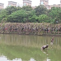 林口大湖紀念公園