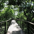 淡水河紅樹林自然保留區