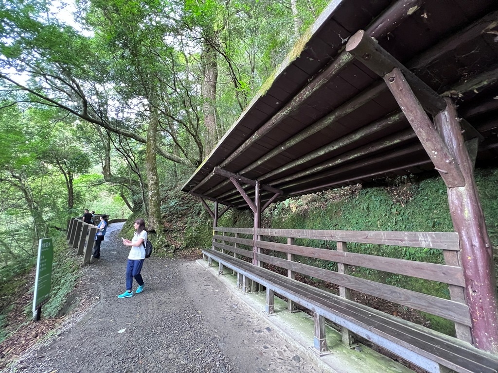 拉拉山國家森林遊樂區