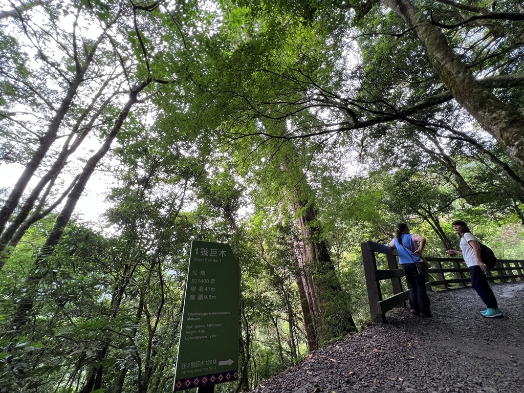 拉拉山國家森林遊樂區