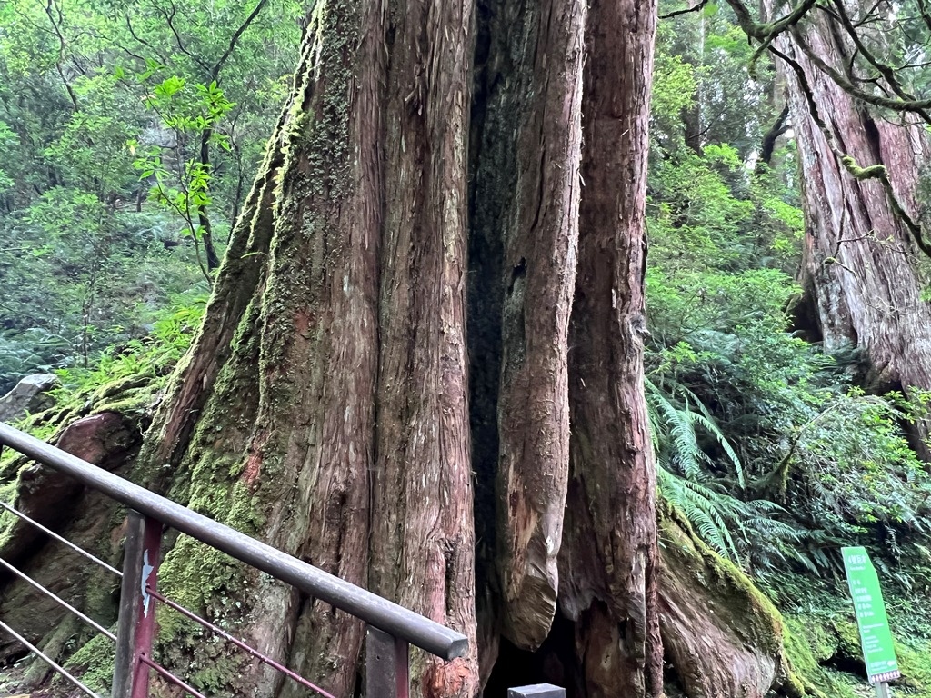 拉拉山國家森林遊樂區