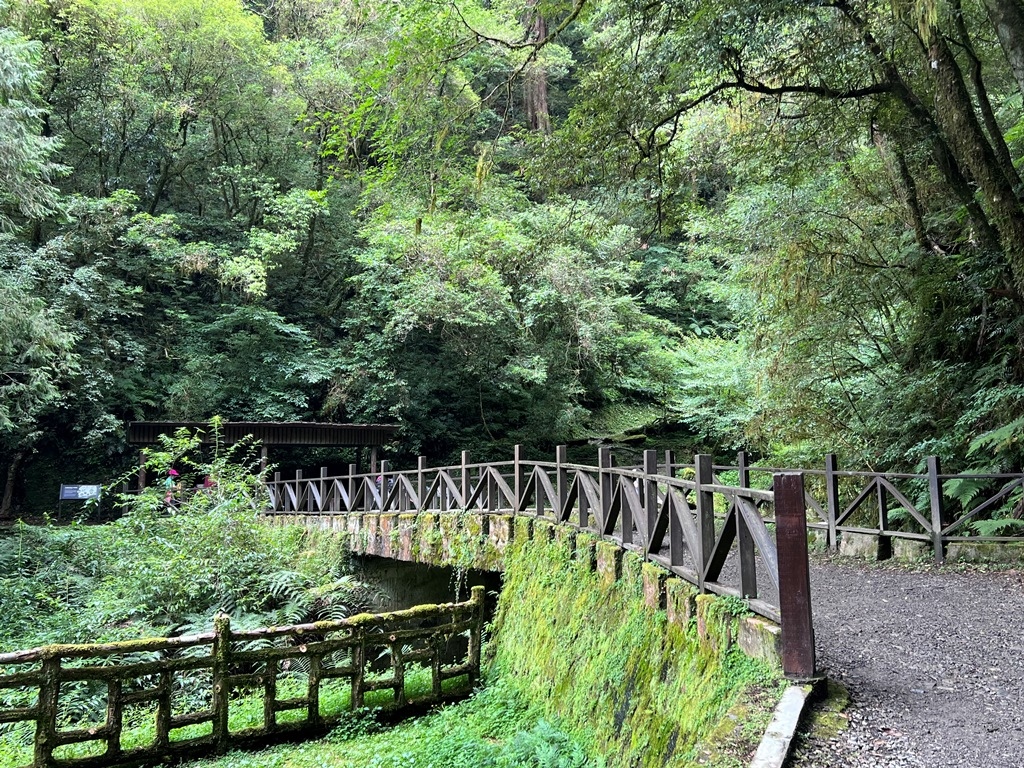 拉拉山國家森林遊樂區